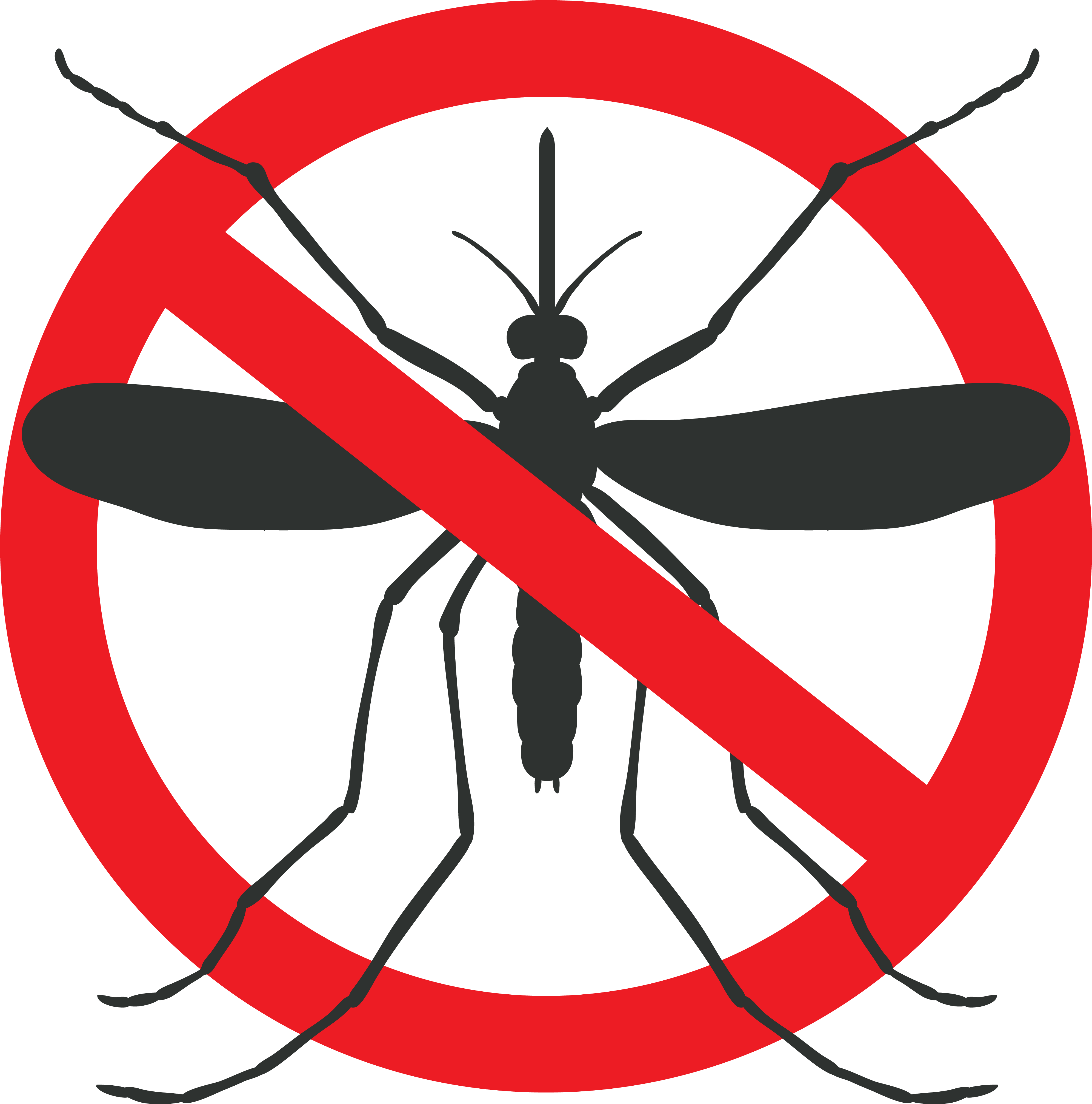 Mosquito Prevention Simpsonville South Carolina