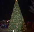 Christmas Tree 19