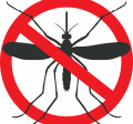 Mosquito Graphic