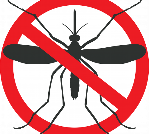 Mosquito Graphic